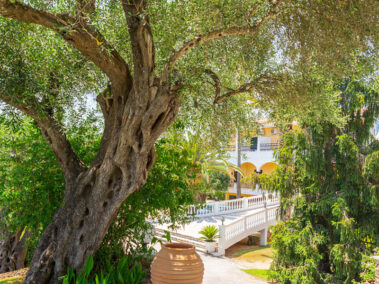 Paradise Hotel Corfu